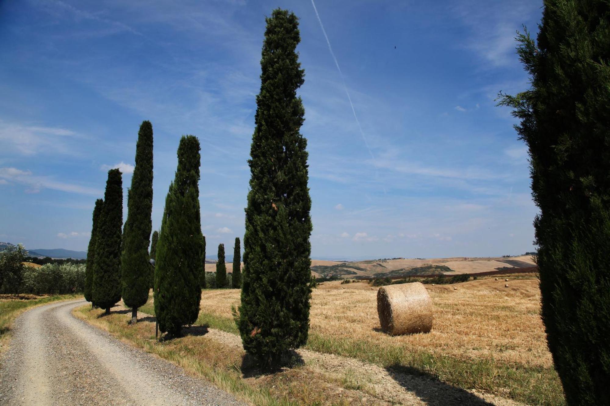 Agriturismo Bagnaia Сан-Куїрико-д'Орча Екстер'єр фото