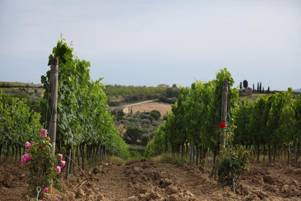 Agriturismo Bagnaia Сан-Куїрико-д'Орча Екстер'єр фото