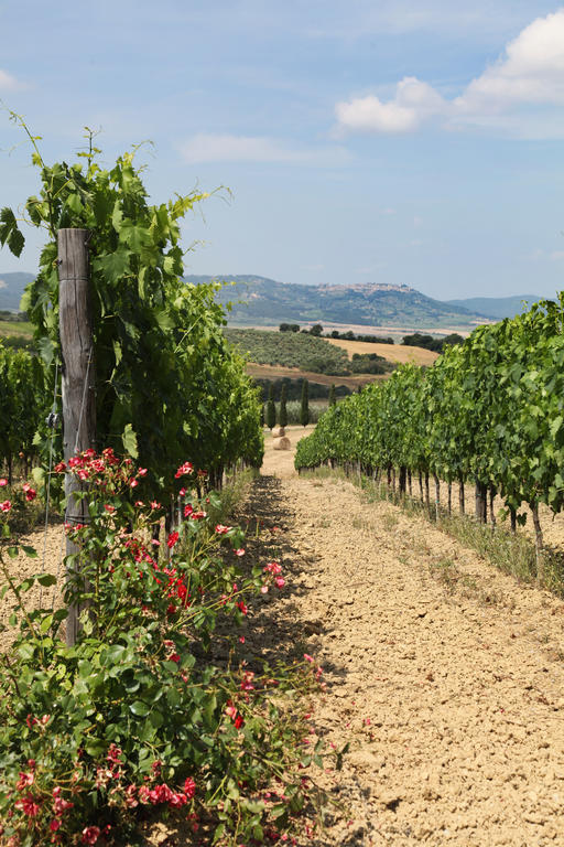 Agriturismo Bagnaia Сан-Куїрико-д'Орча Екстер'єр фото