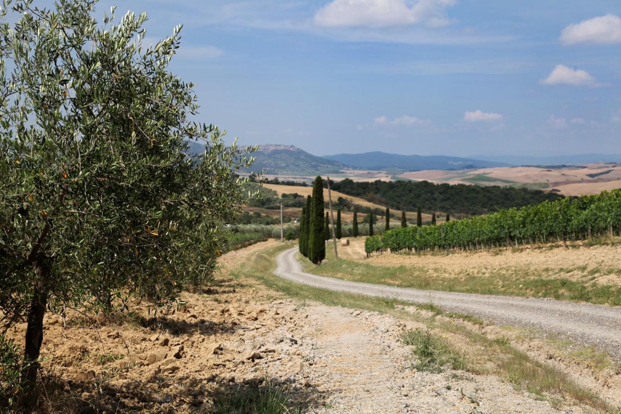 Agriturismo Bagnaia Сан-Куїрико-д'Орча Екстер'єр фото