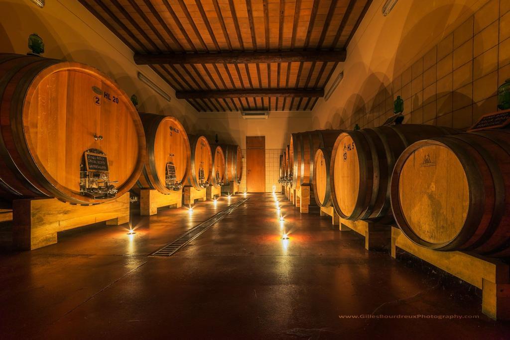 Agriturismo Bagnaia Сан-Куїрико-д'Орча Екстер'єр фото