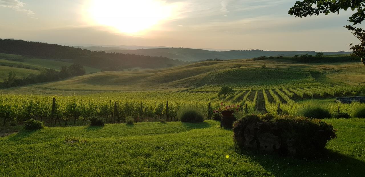 Agriturismo Bagnaia Сан-Куїрико-д'Орча Екстер'єр фото